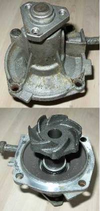 wapu06.jpg